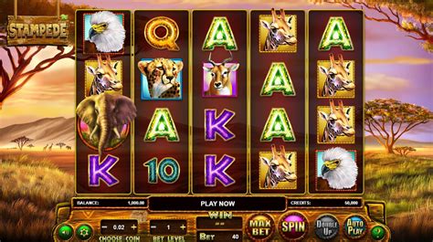 Stampede Slot Review 